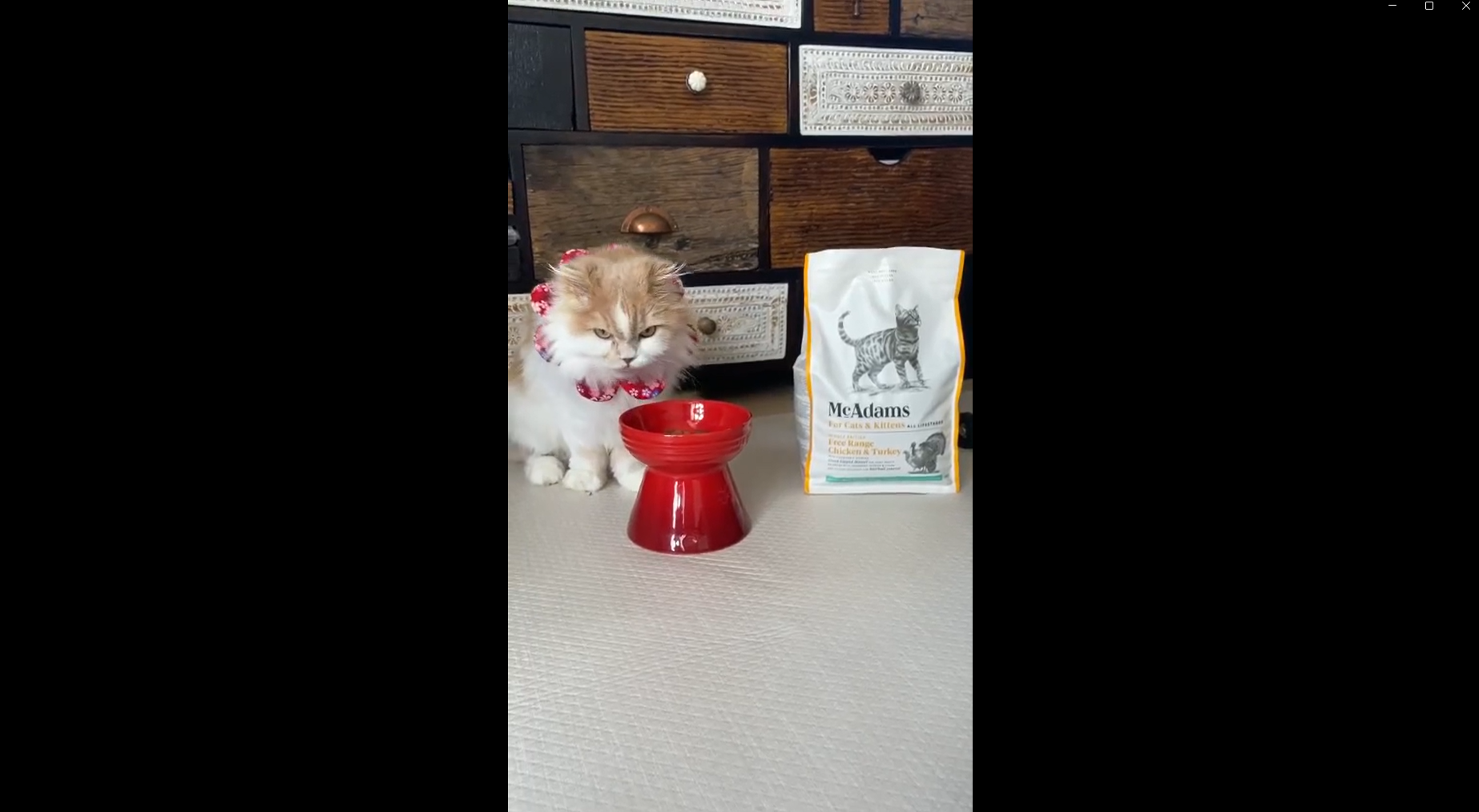 Amazon | マックアダムズキャットフード チキン＆ターキー (1.5